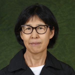 Xiuli Lin, Ph.D