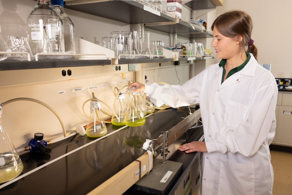 Student working in the lab